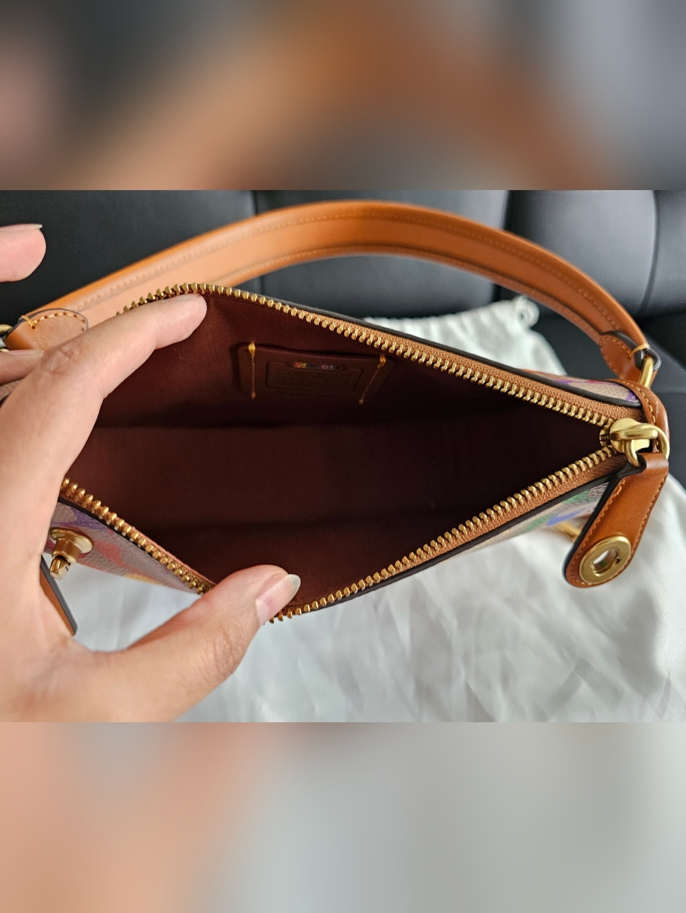 Authentic Limited Edition Coach Swinger Bag - PRICE FIRM - Picture 5 of 11